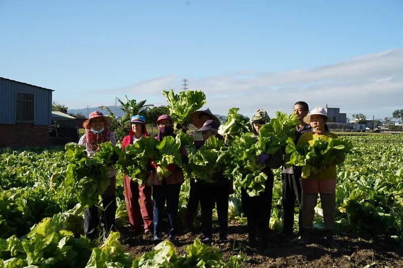 「ผนึก」 รสชาติอันเลิศรสในวันมงคล สะท้อนภูมิปัญญาชาวฮากกา: ผักกาดเขียวดองและเมนูอาหารฮากกาต้นตำรับ