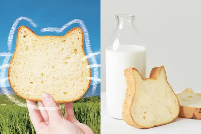 A-Show Milk x NEKO NEKO SHOKUPAN จับมือร่วมกัน! เปิดตัว ‘ขนมปังแมวเหมียวนมสดจากเกษตรกรรายย่อยฮัวเหลียน’ เนื้อนุ่มเด้งรสหวานละมุน วางจำหน่ายเฉพาะช่วงนี้เท่านั้น